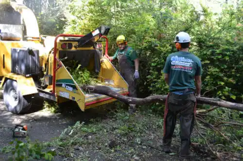 tree services Powell